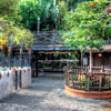 Disneyland Jungle Cruise Exit Dock photo, July 2012