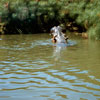 Disneyland Jungle Cruise photo, July 1960