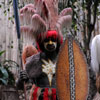 Disneyland Jungle Cruise native area photo, February 2011