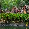 Disneyland Jungle Cruise native area May 2015