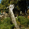 Jungle Cruise natives, May 1958