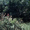 Jungle Cruise Natives, May 1960