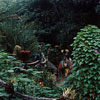 Disneyland Jungle Cruise Natives photo, 1962