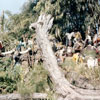 Disneyland Jungle CruiseAngry natives photo, 1960s