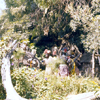 Jungle Cruise Natives, July 1960