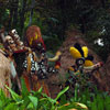 Jungle Cruise native area, May 2008