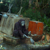 Jungle Cruise, October 2007