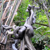 Disneyland Jungle Cruise photo, February 2011