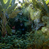 Disneyland Jungle Cruise Gorilla 1957/1958