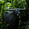 Jungle Cruise water buffalo, June 2008