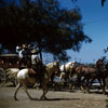 Knotts Berry Farm 1955