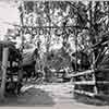 Knotts Berry Farm photo, September 1955