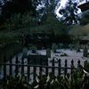 Knotts Berry Farm photo, June 1965