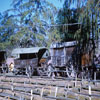 Knotts Berry Farm February 1970