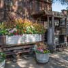 Knott's Berry Farm Theme Park Ghost Town October 2014