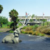 La Brea Tar Pits at LACMA in Los Angeles July 2002