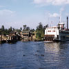 Disneyland Mark Twain, 1955