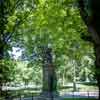 Central Park, NYC, May 2016