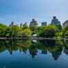 Central Park, NYC, May 2016