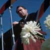 Vice President Richard Nixon at Yorba Linda, June 1959