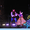 Disneyland Fantasmic Photo, One More Day Leap Year 1am performance, March 1, 2012