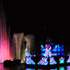 Disneyland Fantasmic Photo, June 2009