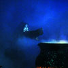 Disneyland Fantasmic Photo, June 2009