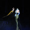 Disneyland Fantasmic Photo, June 2009