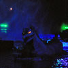 Disneyland Fantasmic Photo, June 2009