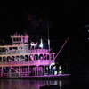 Disneyland Fantasmic Photo, June 2009