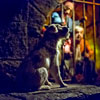 Disneyland Pirates of the Caribbean Jail October 2012