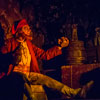 Disneyland Pirates of the Caribbean here kitty kitty photo, February 2013