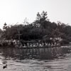 Disneyland Rivers of America photo, 1960s