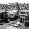 Disneyland Fowler’s Harbor, August 1955