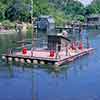 Disneyland Keel Boat photo, June 1961