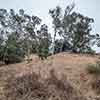 Trail to Gold Gulch, Balboa Park, San Diego, August 2024