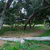 Trail to Gold Gulch, Balboa Park, San Diego, August 2024