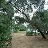 Trail to Gold Gulch, Balboa Park, San Diego, August 2024