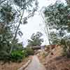 Trail to Gold Gulch, Balboa Park, San Diego, August 2024