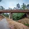 Trail to Gold Gulch, Balboa Park, San Diego, August 2024