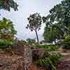 Balboa Park Zoro Garden, August 2024