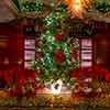 Lafayette Hotel and Club Christmas decor, San Diego, December 2024