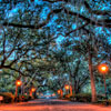 Forsyth Park in Savannah November 2012