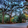 Forsyth Park in Savannah November 2012