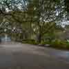 Forsyth Park in Savannah photo, March 2015