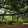 Forsyth Park in Savannah, August 2010