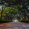 Forsyth Park in Savannah, October 2008