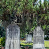 Laurel Grove Cemetery in Savannah, Georgia June 2013