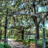 Laurel Grove Cemetery in Savannah, Georgia June 2013