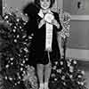 Shirley Temple receiving her Rose Parade Grand Marshal ribbon at her Fox Bungalow, November 21, 1938